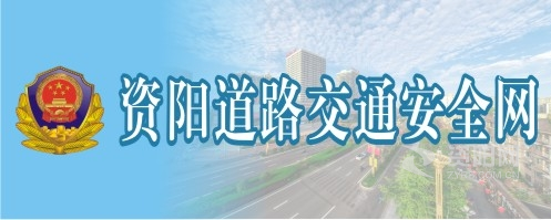 我操你小逼资阳道路交通安全网